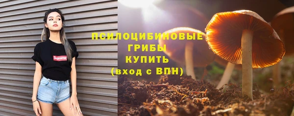наркотики Алексин