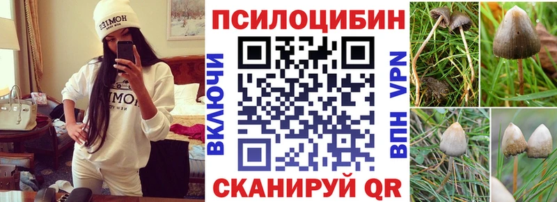 Галлюциногенные грибы MAGIC MUSHROOMS Лысьва